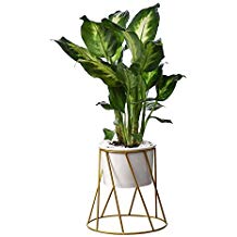 Tabouret pour fleur