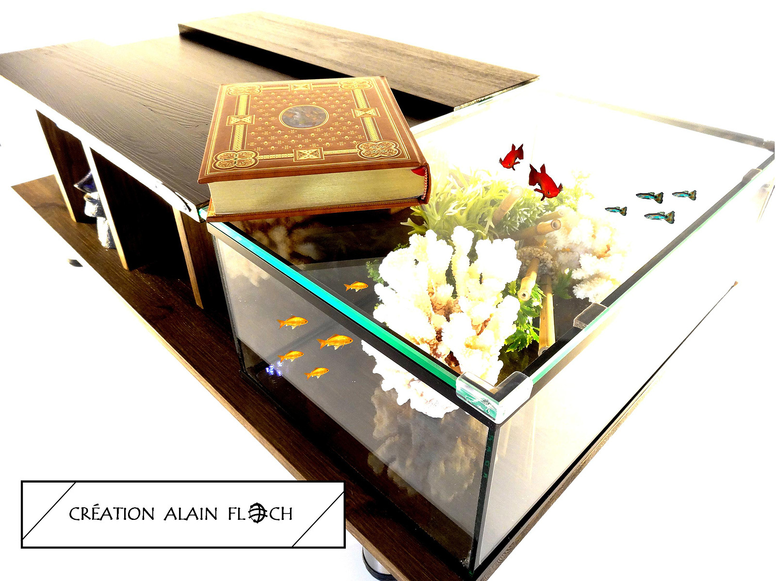 Eclairage table basse aquarium