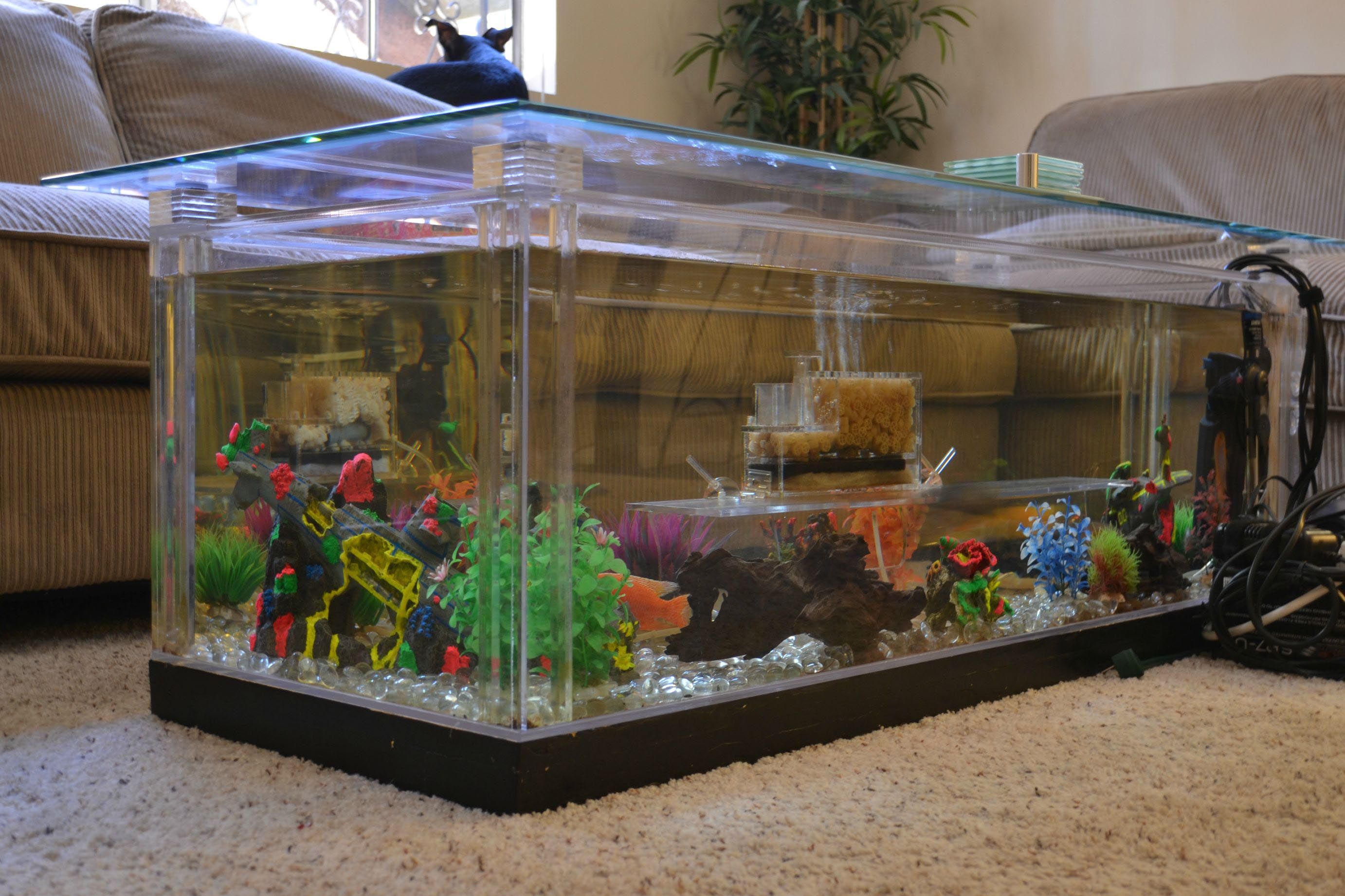Table basse aquarium d'idées