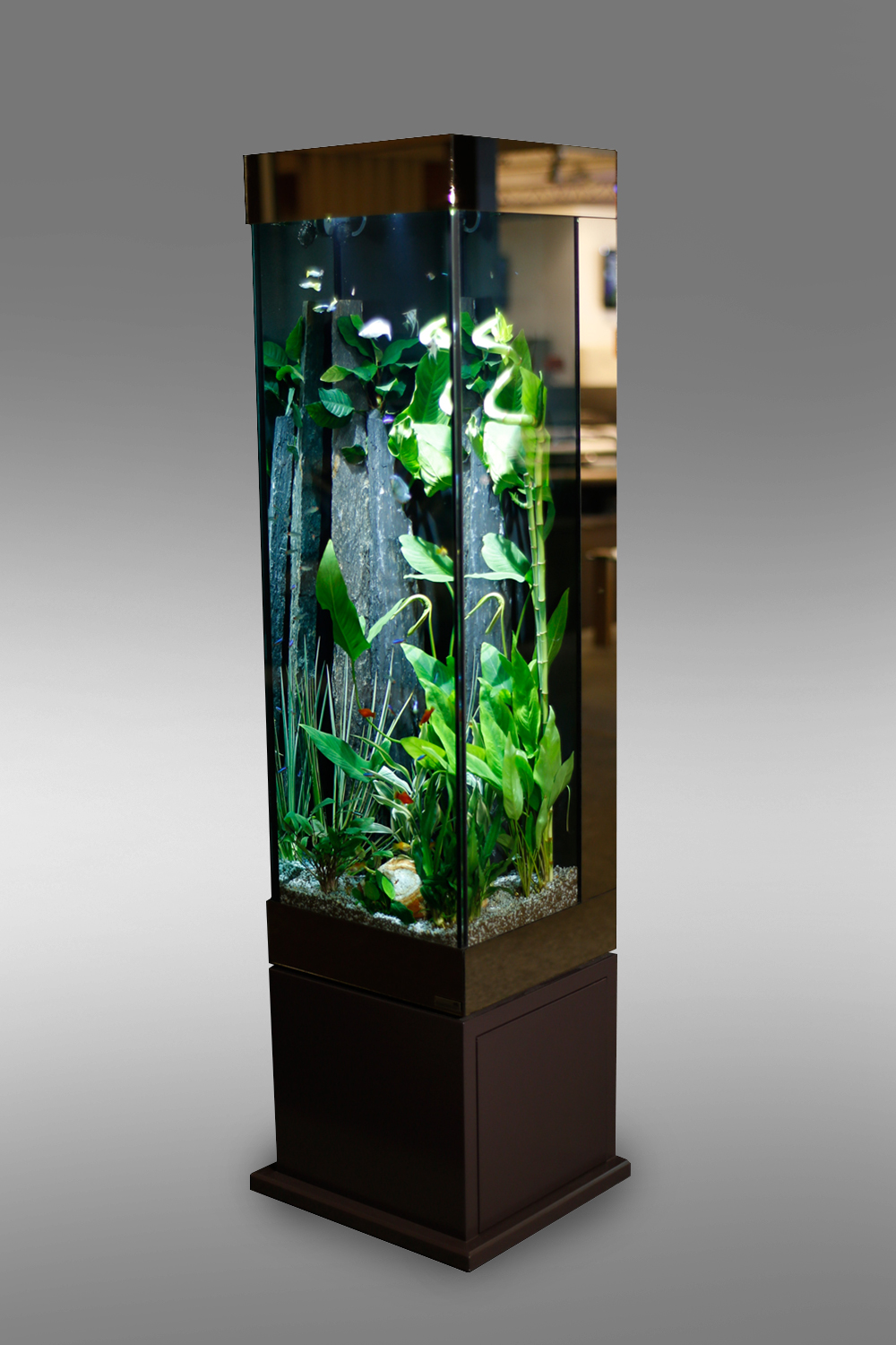 Table basse aquarium maroc