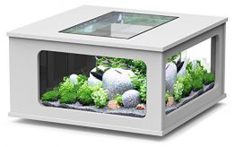 Table basse aquarium carre