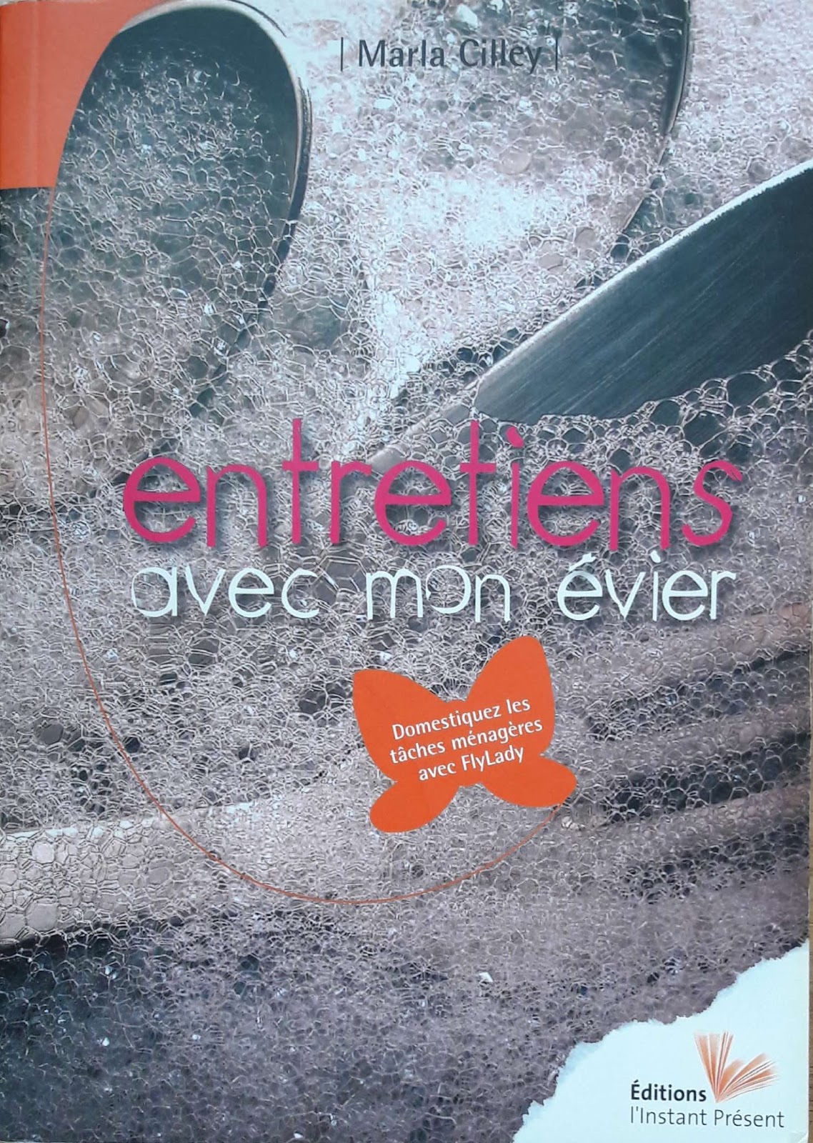 Entretien avec mon évier