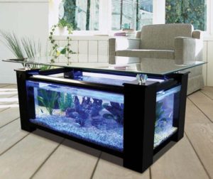 Aquarium table basse de salon