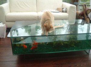 Table basse aquarium en verre