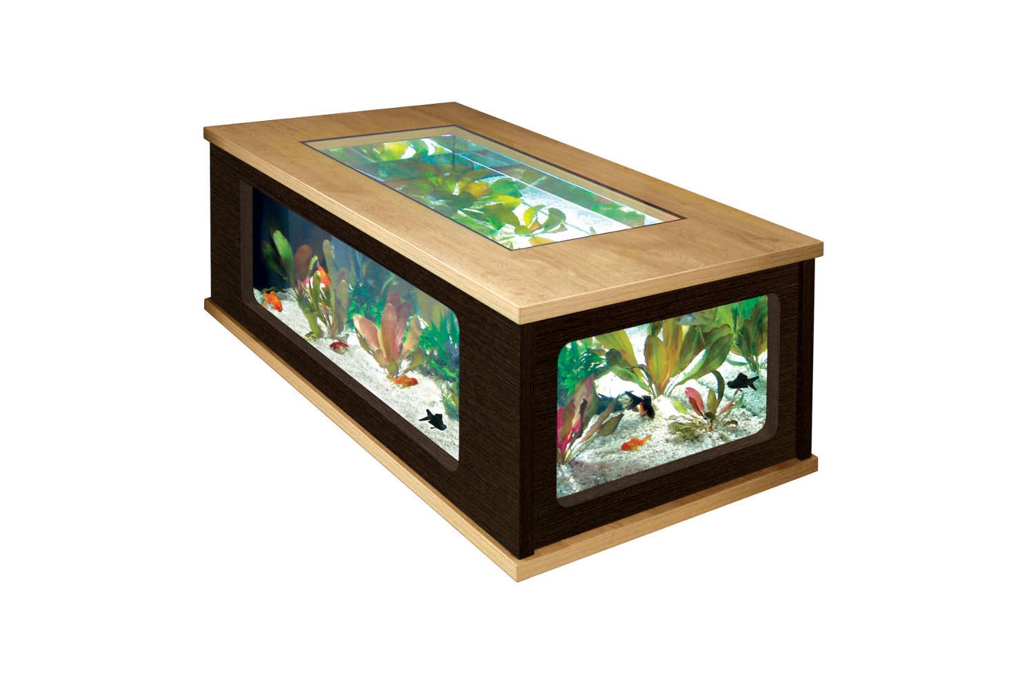 Grande table basse aquarium